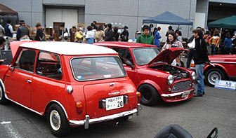 04flea_car.jpg