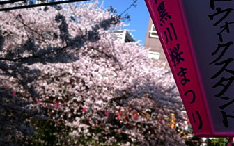 2015meguro_f.jpg