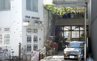 chum2011.jpg