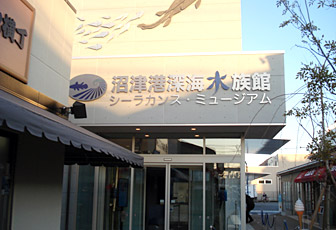 coelacanthm_f.jpg