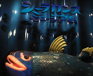 coelacanthm_in.jpg