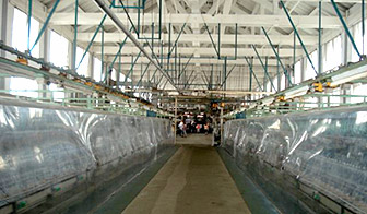 silk_sosi_in.jpg