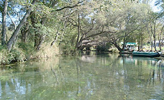 wasabi_boat1.jpg