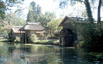 wasabi_boat2.jpg