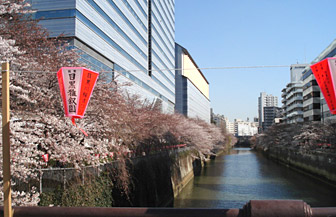 megurogawa2011.jpg