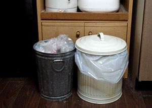 dustbox.jpg