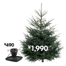 xmastree.jpg
